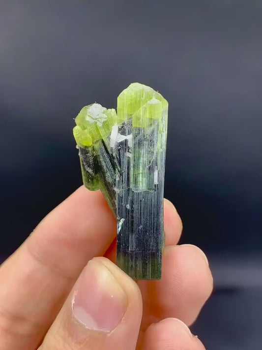 Amazing Bicolor Tourmaline Twinned Tourmaline, Natural Green Cap Crystals - 72.60 carat