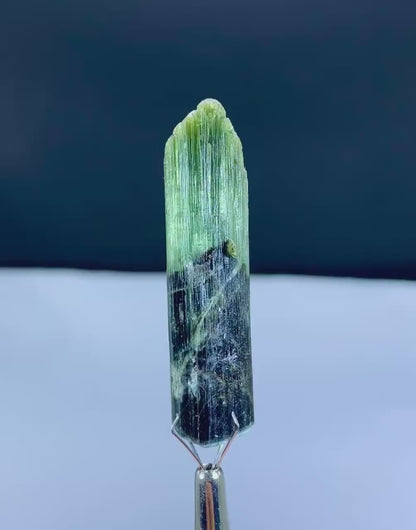 Lustrous Bicolor Tourmaline Crystal from Pakistan - 74.45 carat