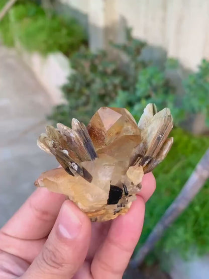 Natural Yellow Quartz on Star Mica, Quartz Crystal, Raw Quartz - 89 grams