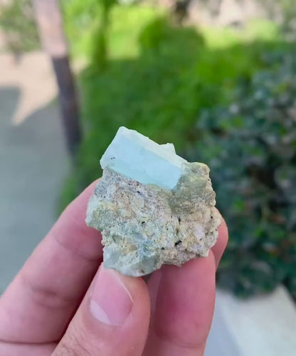 Sky Blue Aquamarine Crystals on Albite, Aquamarine Specimen - 25 grams