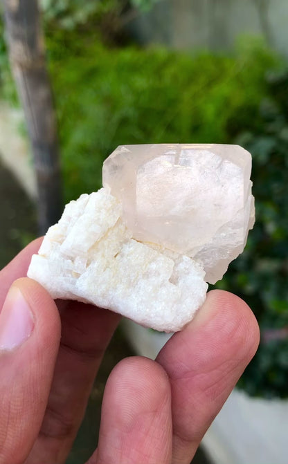 Pink Morganite Crystal On Feldspar From Afghanistan - 37 Gram