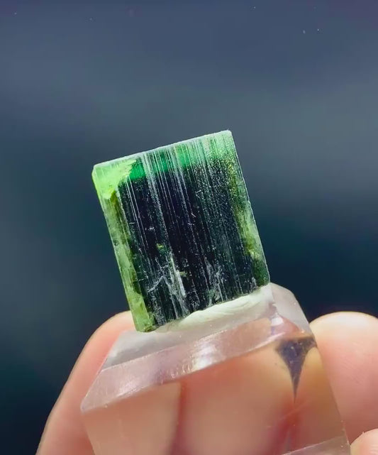 Natural Terminated Green Cap Tourmaline Crystal - 48.60 carats