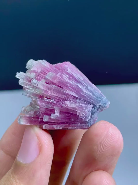 66.10 Carats Amazing Bicolor Cotton Candy Tourmaline Cluster from Afghanistan