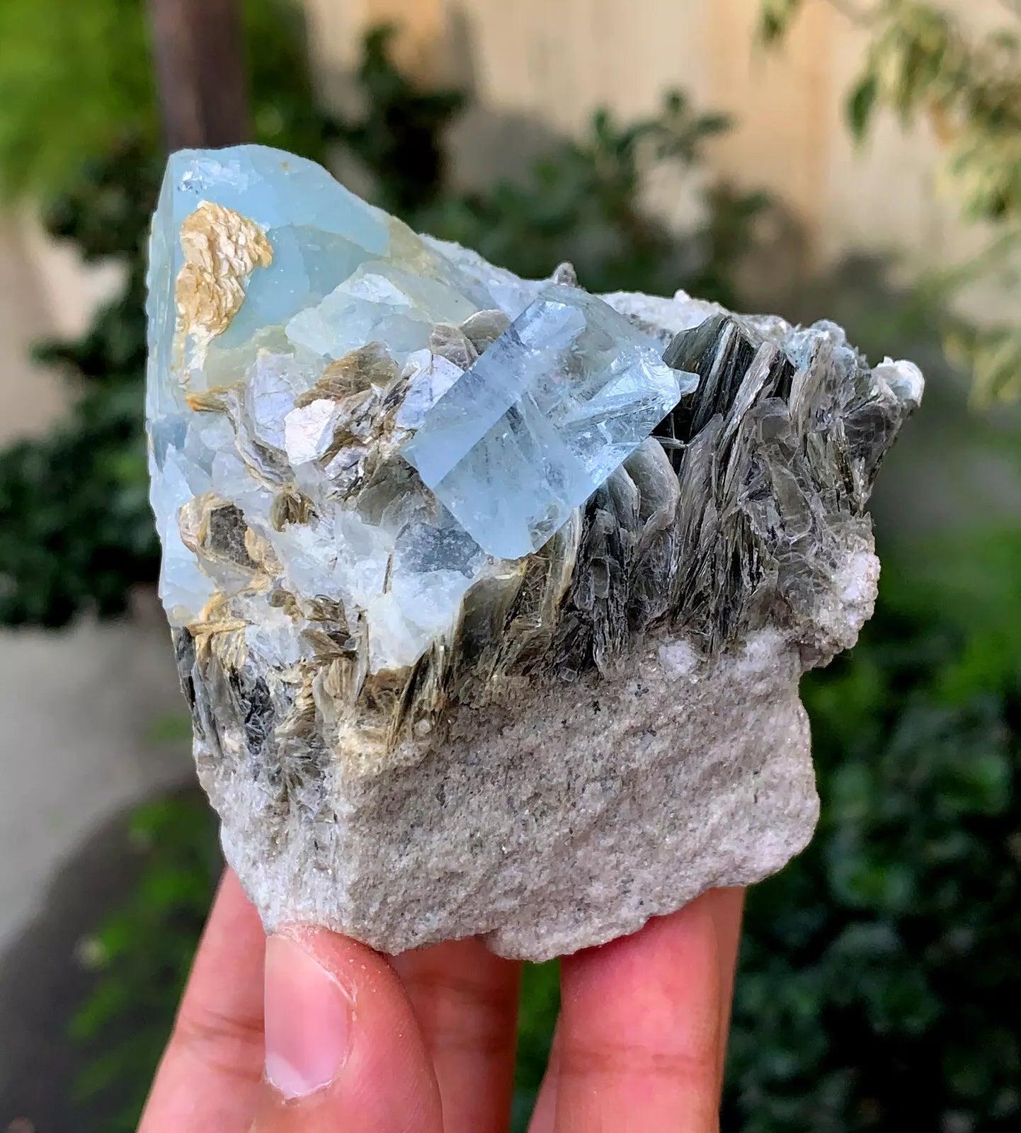 Natural Sky Blue Aquamarine Crystals with Muscovite from Pakistan