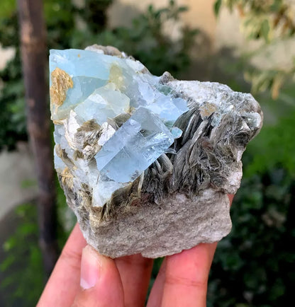 Natural Sky Blue Aquamarine Crystals with Muscovite from Pakistan