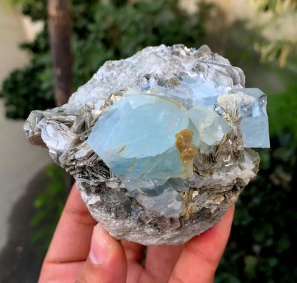 Natural Sky Blue Aquamarine Crystals with Muscovite from Pakistan