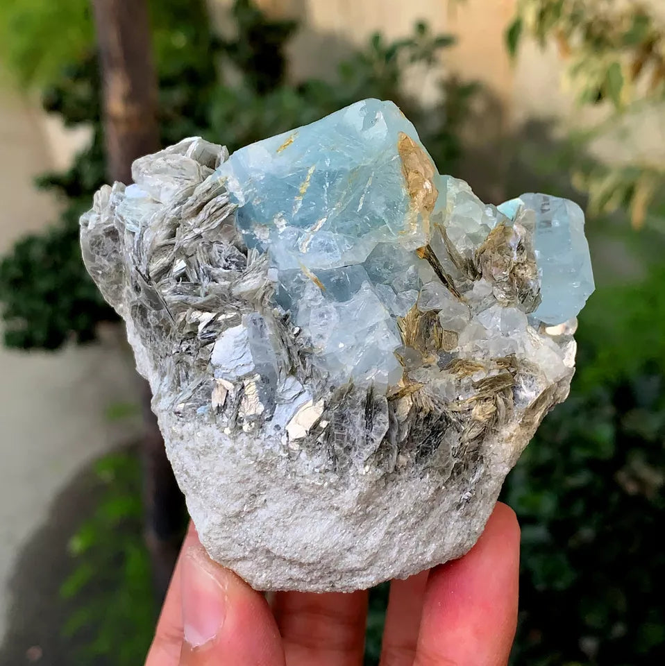 Natural Sky Blue Aquamarine Crystals with Muscovite from Pakistan