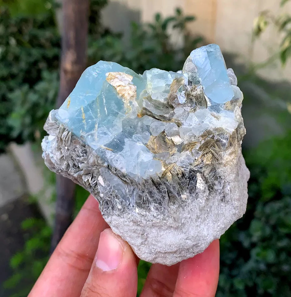 Natural Sky Blue Aquamarine Crystals with Muscovite from Pakistan