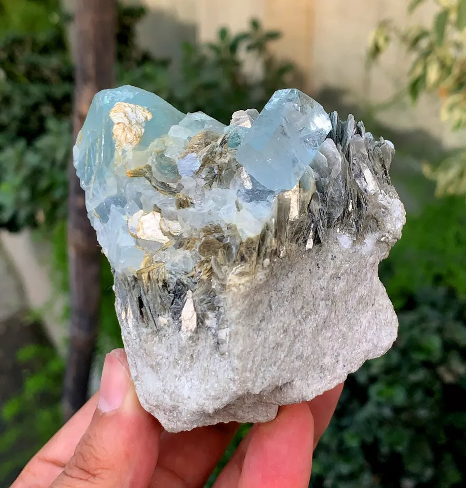 Natural Sky Blue Aquamarine Crystals with Muscovite from Pakistan